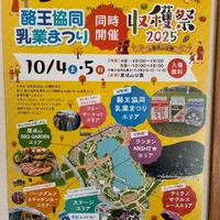 画像331