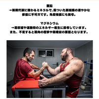 画像390