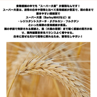 画像397